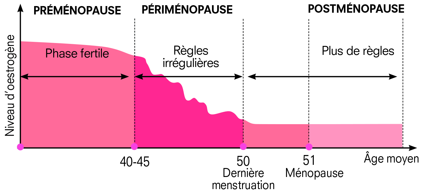 graphique menopause FR